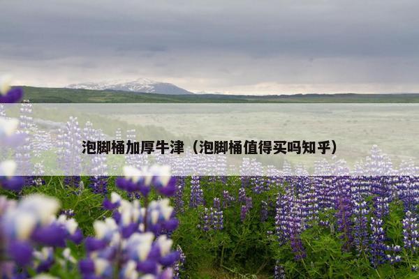 泡脚桶加厚牛津（泡脚桶值得买吗知乎）