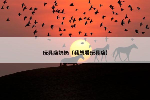 玩具店奶奶（我想看玩具店）