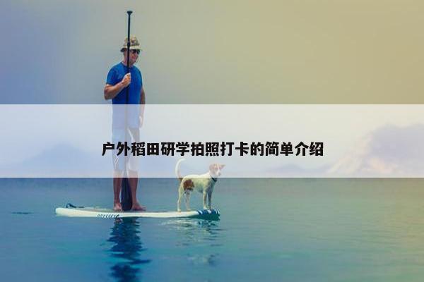 户外稻田研学拍照打卡的简单介绍