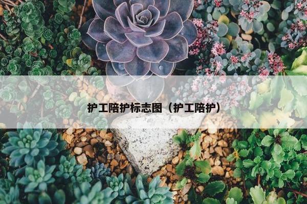护工陪护标志图（护工陪护）