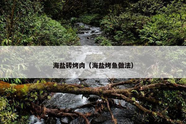 海盐砖烤肉（海盐烤鱼做法）