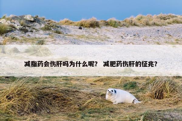 减脂药会伤肝吗为什么呢？ 减肥药伤肝的征兆？