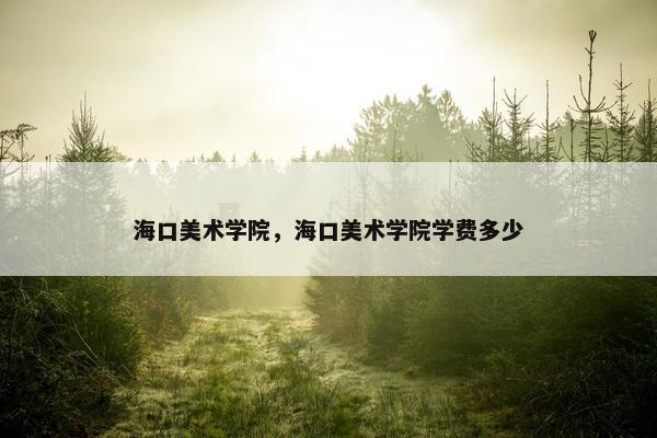海口美术学院，海口美术学院学费多少