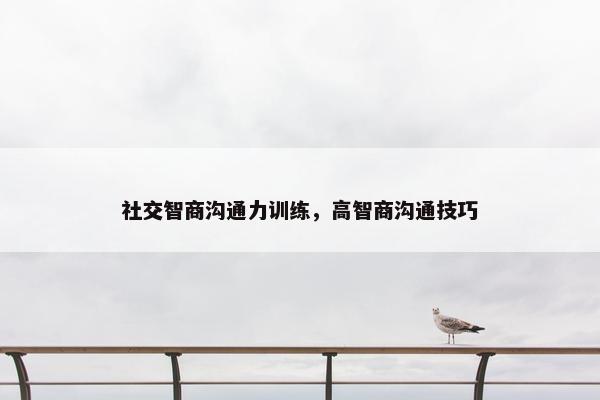 社交智商沟通力训练，高智商沟通技巧
