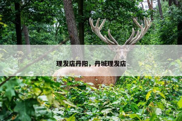 理发店丹阳，丹城理发店