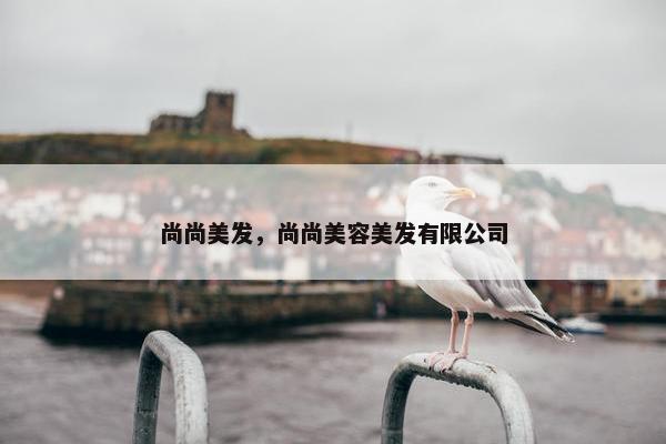 尚尚美发，尚尚美容美发有限公司
