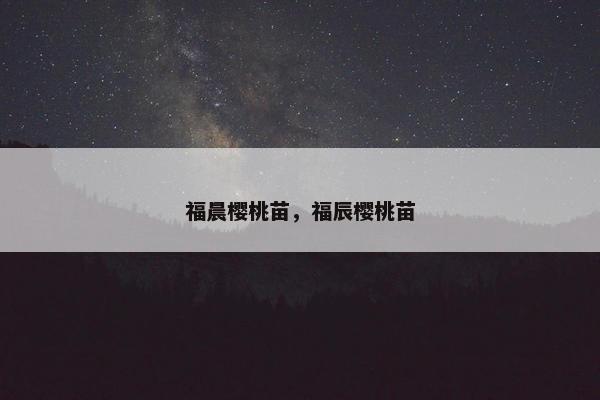 福晨樱桃苗，福辰樱桃苗