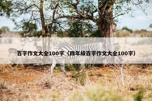 百字作文大全100字（四年级百字作文大全100字）