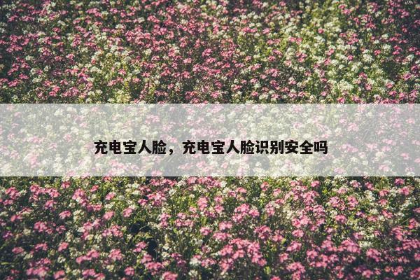充电宝人脸，充电宝人脸识别安全吗