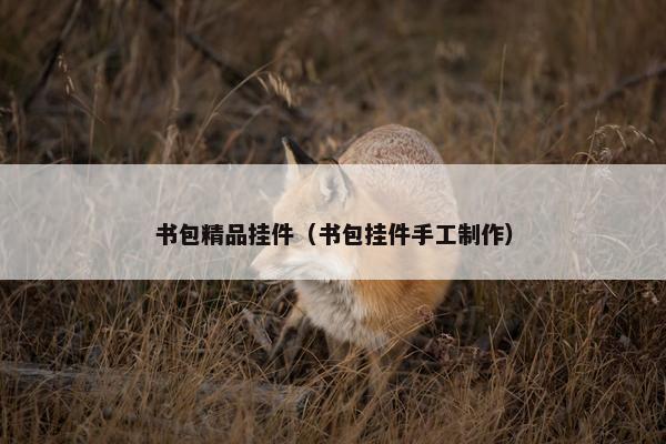 书包精品挂件（书包挂件手工制作）