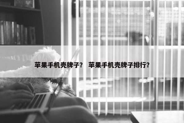 苹果手机壳牌子？ 苹果手机壳牌子排行？
