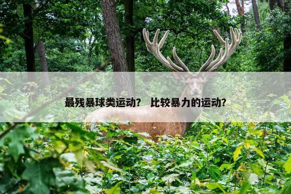 最残暴球类运动？ 比较暴力的运动？