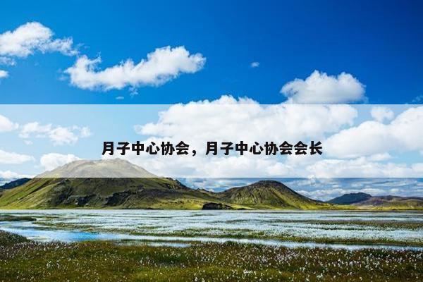 月子中心协会，月子中心协会会长