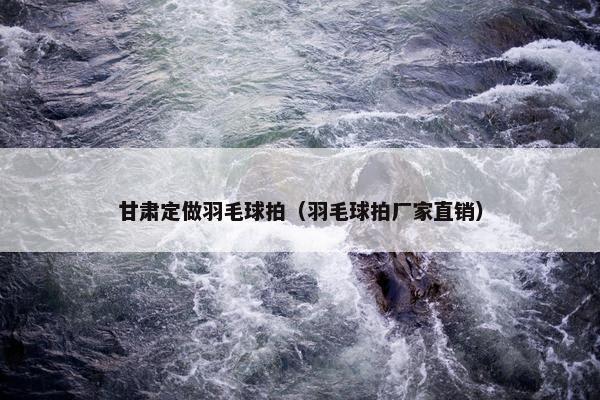 甘肃定做羽毛球拍（羽毛球拍厂家直销）