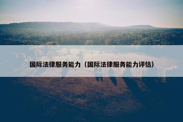 国际法律服务能力（国际法律服务能力评估）