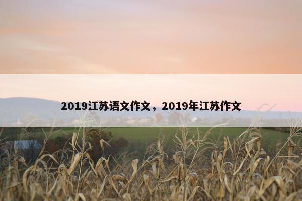 2019江苏语文作文，2019年江苏作文