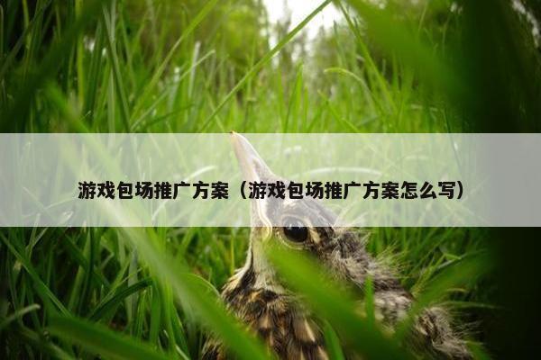 游戏包场推广方案（游戏包场推广方案怎么写）