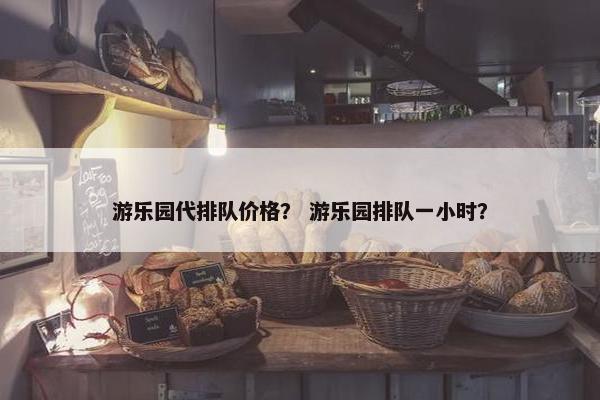 游乐园代排队价格？ 游乐园排队一小时？
