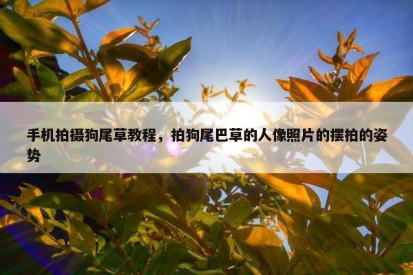 手机拍摄狗尾草教程，拍狗尾巴草的人像照片的摆拍的姿势