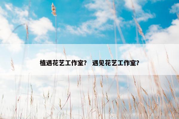 植遇花艺工作室？ 遇见花艺工作室？