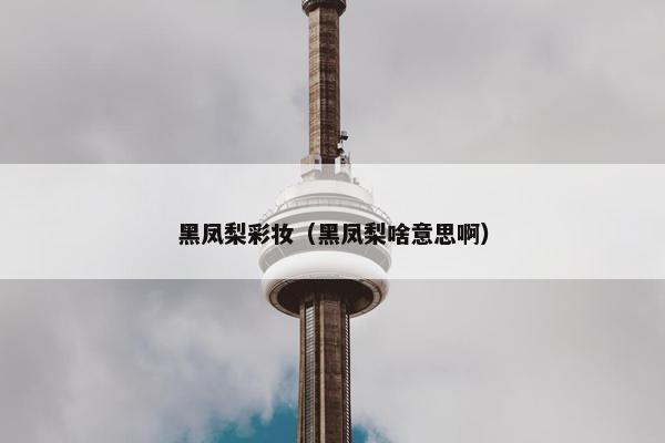 黑凤梨彩妆（黑凤梨啥意思啊）