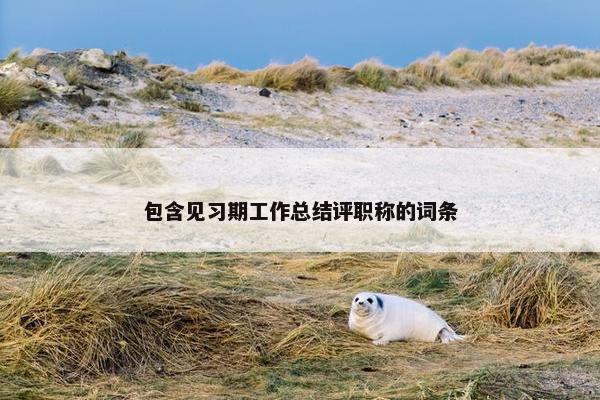 包含见习期工作总结评职称的词条