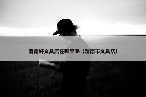 渭南好文具店在哪里呢（渭南市文具店）