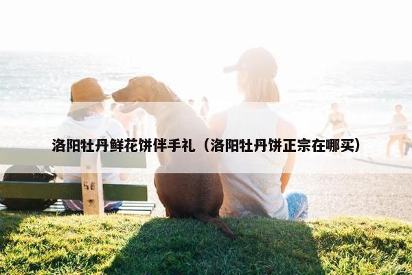 洛阳牡丹鲜花饼伴手礼（洛阳牡丹饼正宗在哪买）