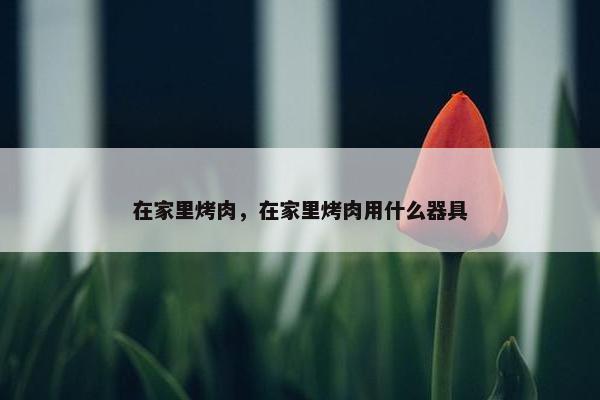 在家里烤肉，在家里烤肉用什么器具