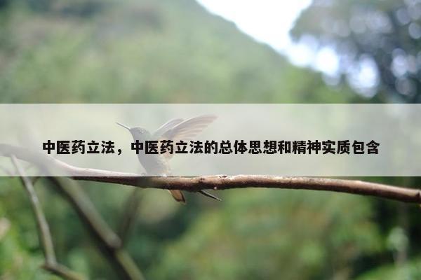 中医药立法，中医药立法的总体思想和精神实质包含