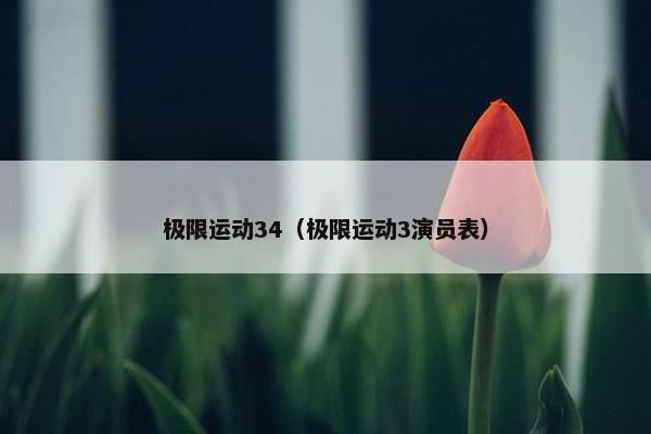 极限运动34（极限运动3演员表）