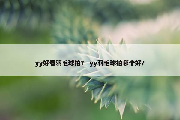 yy好看羽毛球拍？ yy羽毛球拍哪个好？