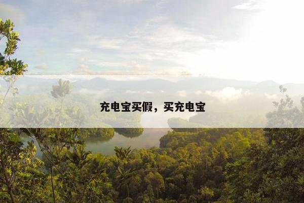充电宝买假，买充电宝