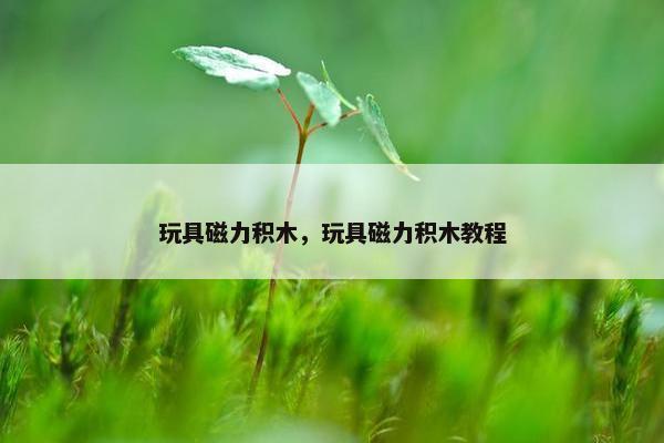 玩具磁力积木，玩具磁力积木教程