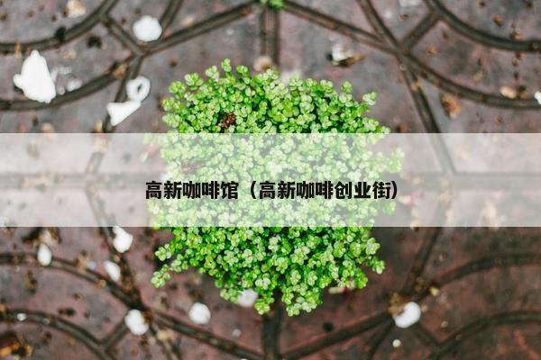 高新咖啡馆（高新咖啡创业街）