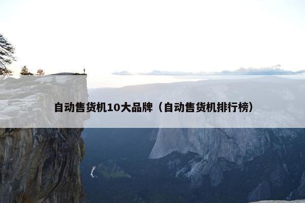 自动售货机10大品牌（自动售货机排行榜）
