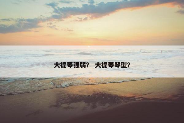 大提琴强弱？ 大提琴琴型？