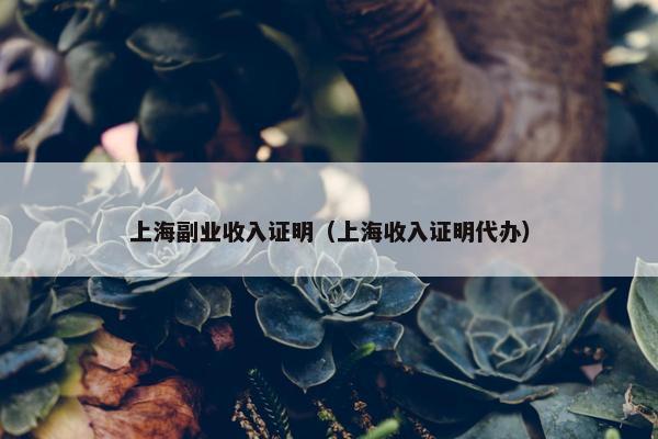 上海副业收入证明（上海收入证明代办）