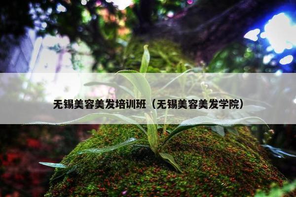 无锡美容美发培训班（无锡美容美发学院）