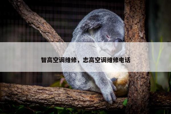 智高空调维修，志高空调维修电话