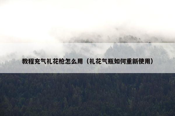 教程充气礼花枪怎么用（礼花气瓶如何重新使用）