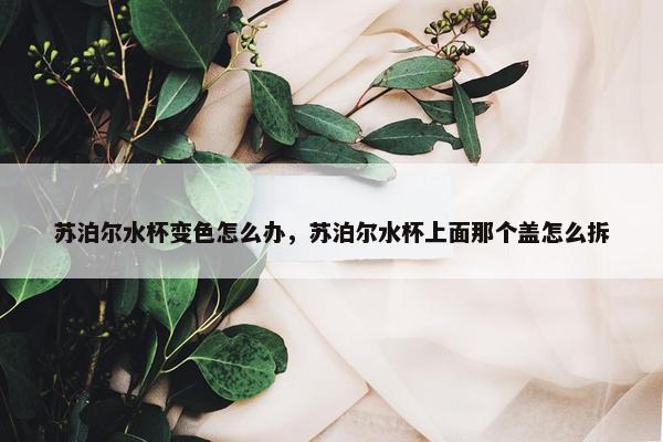 苏泊尔水杯变色怎么办，苏泊尔水杯上面那个盖怎么拆
