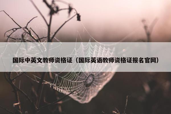 国际中英文教师资格证（国际英语教师资格证报名官网）