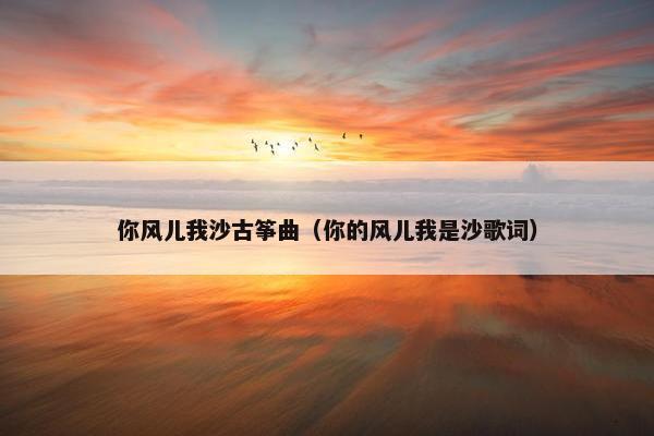 你风儿我沙古筝曲（你的风儿我是沙歌词）