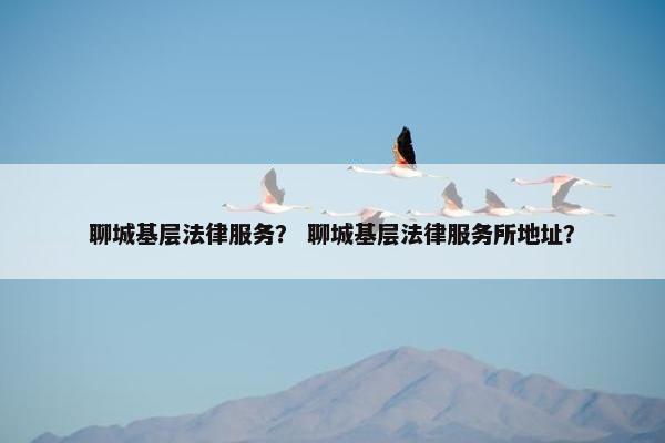 聊城基层法律服务？ 聊城基层法律服务所地址？