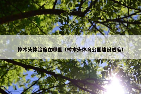 樟木头体验馆在哪里（樟木头体育公园建设进度）