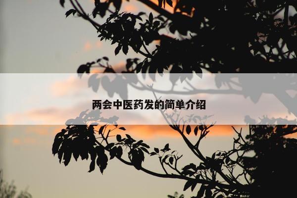 两会中医药发的简单介绍