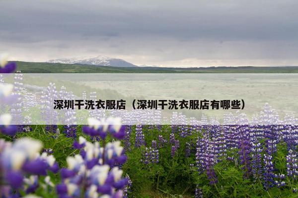 深圳干洗衣服店（深圳干洗衣服店有哪些）