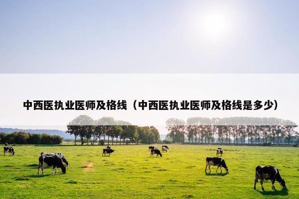 中西医执业医师及格线（中西医执业医师及格线是多少）
