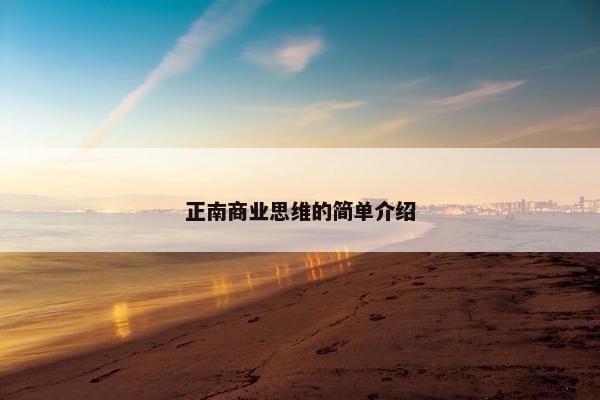 正南商业思维的简单介绍